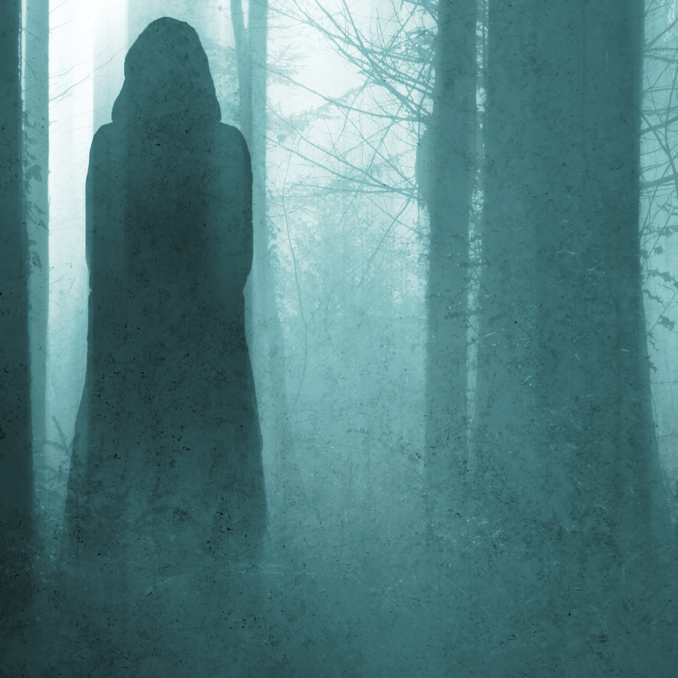 The Appalachian Moon Witch Chronicles