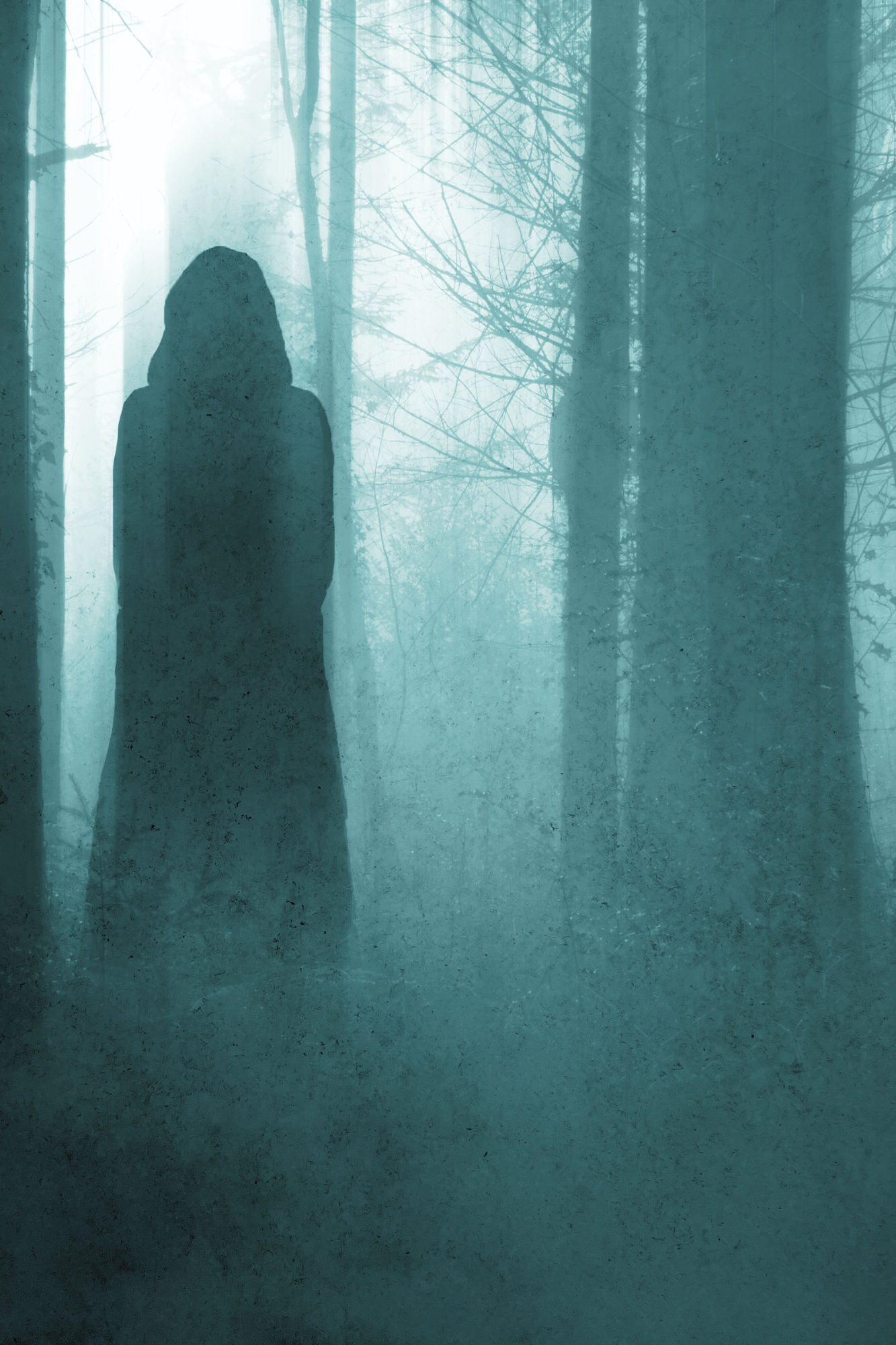 The Appalachian Moon Witch Chronicles